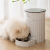 Automatic Pet Feeder Intelligence