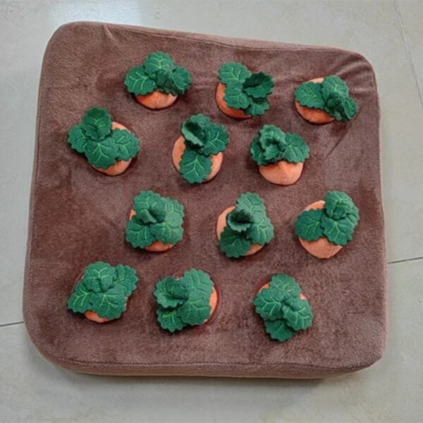 0656232f-3ee5-401d-9821-ae1b6fbe27df.jpg Dogs Uncover Treats Hidden Under Carrot Plush Toys