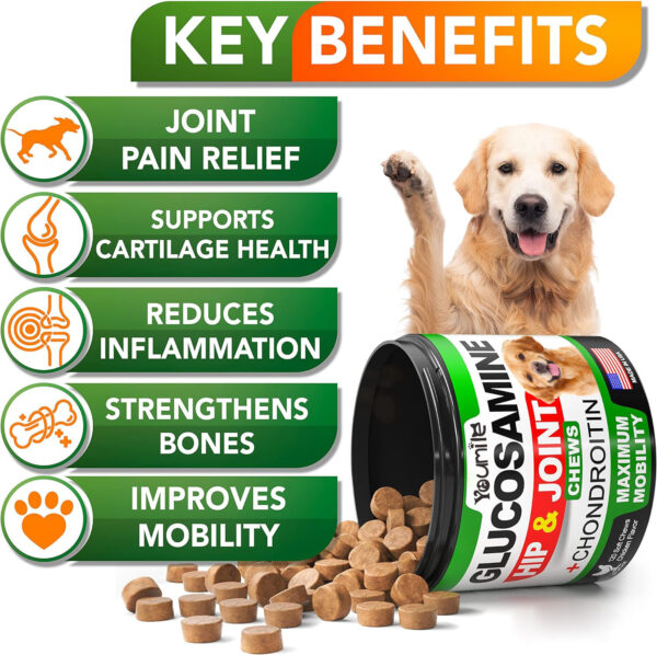 0a21bf6b-64d1-4f14-a0c7-b28c38cf870b.jpg Pet Hip & Joint Supplement Chondroitin