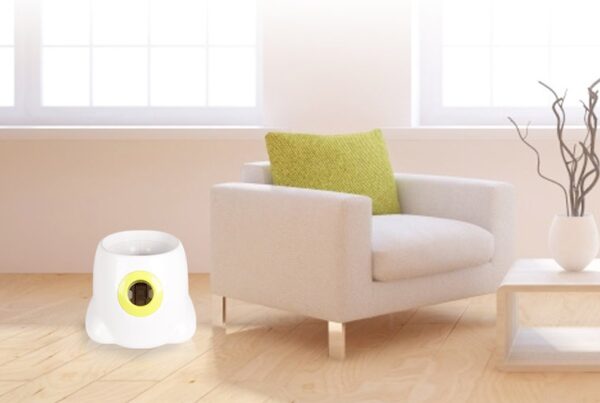1186770611998.jpg Dog Automatic Interactive Ball Launcher