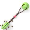 Suction Cup Dog Toy