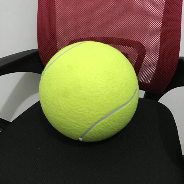1729887757134.jpg Giant Tennis Ball