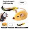 Auto-driving Mouse for Cat to Chase