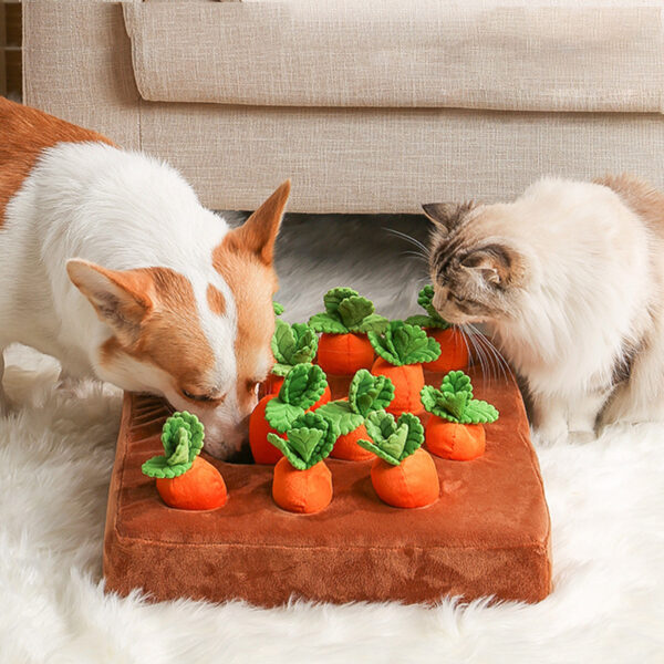 1e737036-debb-46f0-8863-1bb39d2df553.jpg Dogs Uncover Treats Hidden Under Carrot Plush Toys