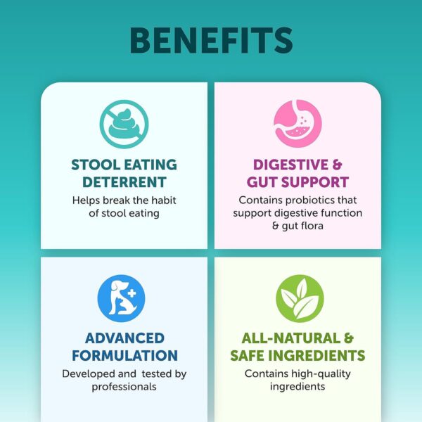 33825742-1bfe-4c9d-9674-a75ade717e26.jpg Pet Intestinal Probiotic Chewable Tablets