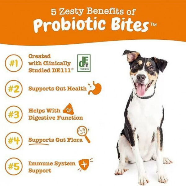 4cada988-036a-4292-b2c4-fe213faf7813.jpg 315g Probiotic Chewable Tablets Dog Food Cat Food Intestinal Health