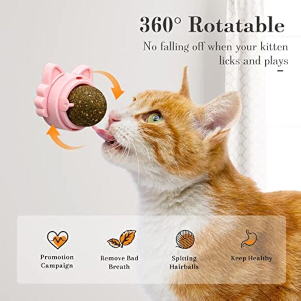 617681c9-177c-4b8e-b7a7-9fd0a2e10d20.jpg Catnip Balls That Stick On Wall Catnip Balls For Cat Catnip Toys For Cats Healthy Kitty Teeth Cleaning Dental Chew Toys Cat Wall Treats