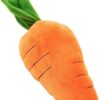 Big Squeaky Carrot