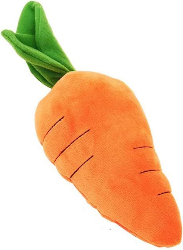 68f0b926-d232-43ac-a027-13e6e306d615.jpg Big Squeaky Carrot