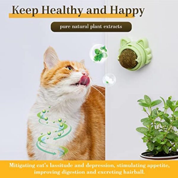 76766d9d-9aab-4b81-8242-e1ef9be73134.jpg Catnip Balls That Stick On Wall Catnip Balls For Cat Catnip Toys For Cats Healthy Kitty Teeth Cleaning Dental Chew Toys Cat Wall Treats