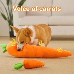 Big Squeaky Carrot