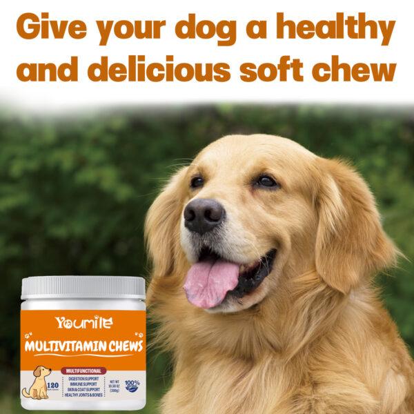 854fbb9c-7c01-4208-a9dd-7cb1207c5a85.jpg Pet Vitamin Multifunctional Health Care Products Dog