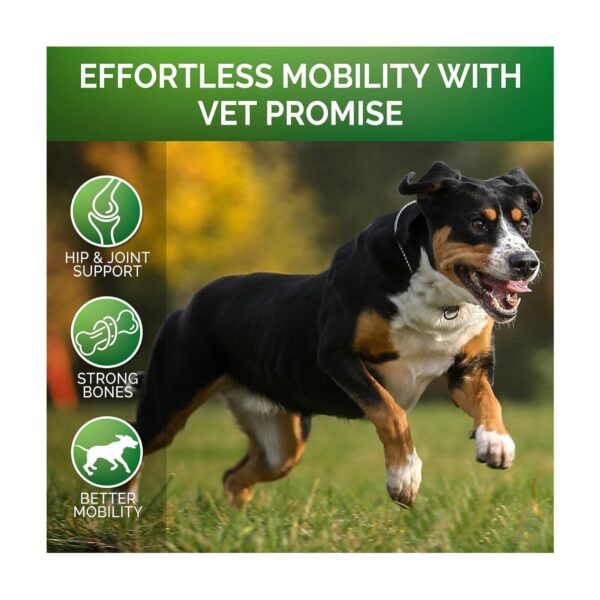 92d877b9-39d9-4cbe-afd3-6bba8ab1aafd.jpg Pet Hip & Joint Supplement Chondroitin