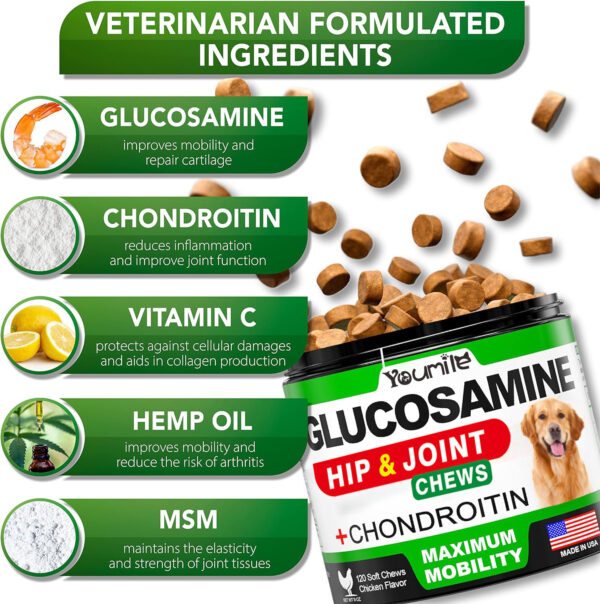 997d9f1c-cfa2-4b8e-af69-ce2aee8671d4.jpg Pet Hip & Joint Supplement Chondroitin