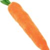 Big Squeaky Carrot