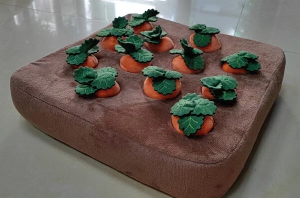 b6350211-c24b-4fdd-8fa3-240d9a23239f.jpg Dogs Uncover Treats Hidden Under Carrot Plush Toys