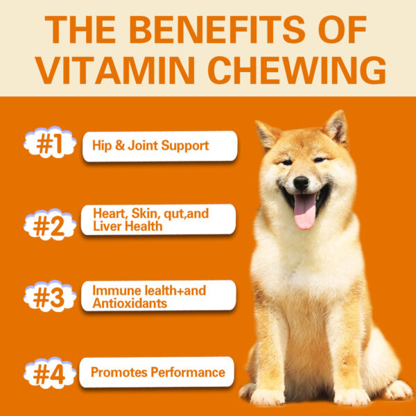 d279ed3f-e298-4bba-8c1d-2909f22995ca.jpg Pet Vitamin Multifunctional Health Care Products Dog