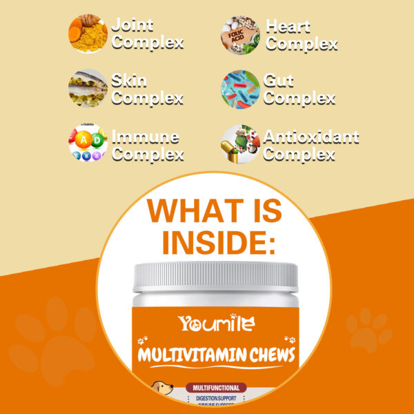 d76e2179-70be-4db5-b4a7-d00da201445f.jpg Pet Vitamin Multifunctional Health Care Products Dog