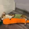 Big Squeaky Carrot