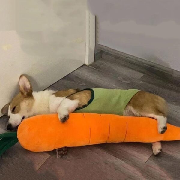 d9230411-f1a5-459e-9874-3f1c25eb3970.jpg Big Squeaky Carrot