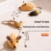 Auto-driving Mouse for Cat to Chase