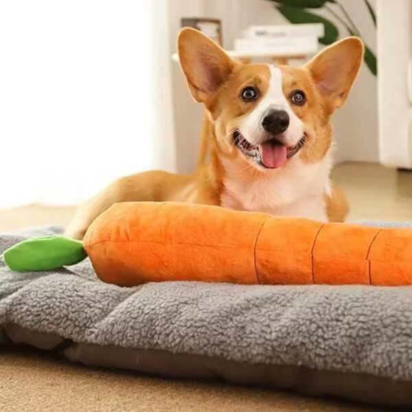 f011088f-f246-45c1-8c11-4aebda33d915.jpg Big Squeaky Carrot