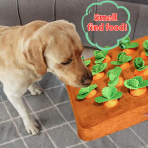 Dogs Uncover Treats Hidden Under Carrot Plush Toys