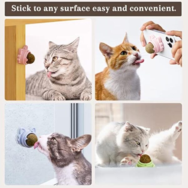 f6df4b70-b3f9-47d9-8ea7-adf9eb829775.jpg Catnip Balls That Stick On Wall Catnip Balls For Cat Catnip Toys For Cats Healthy Kitty Teeth Cleaning Dental Chew Toys Cat Wall Treats